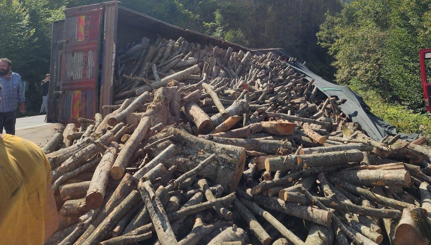 Virajı dönemeyen kamyon devrildi: 21 ton tomruk yola saçıldı