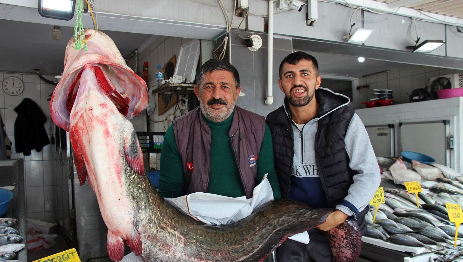 kilosu 250 liradan satisa sunuldu tam 85 kilogram agirliginda 8WTuMrR3