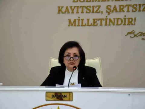 CHP’li Meclis Üyesi Nevin Tan, Komisyon Görevlerinden Ayrıldı