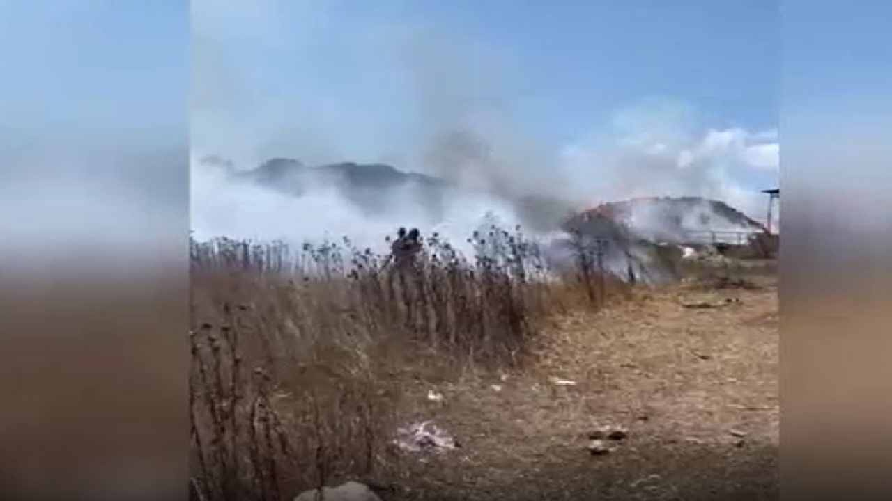 Son dakika istanbulda yangin kabusu alevler agaclik alana sicradi zGIeahcu